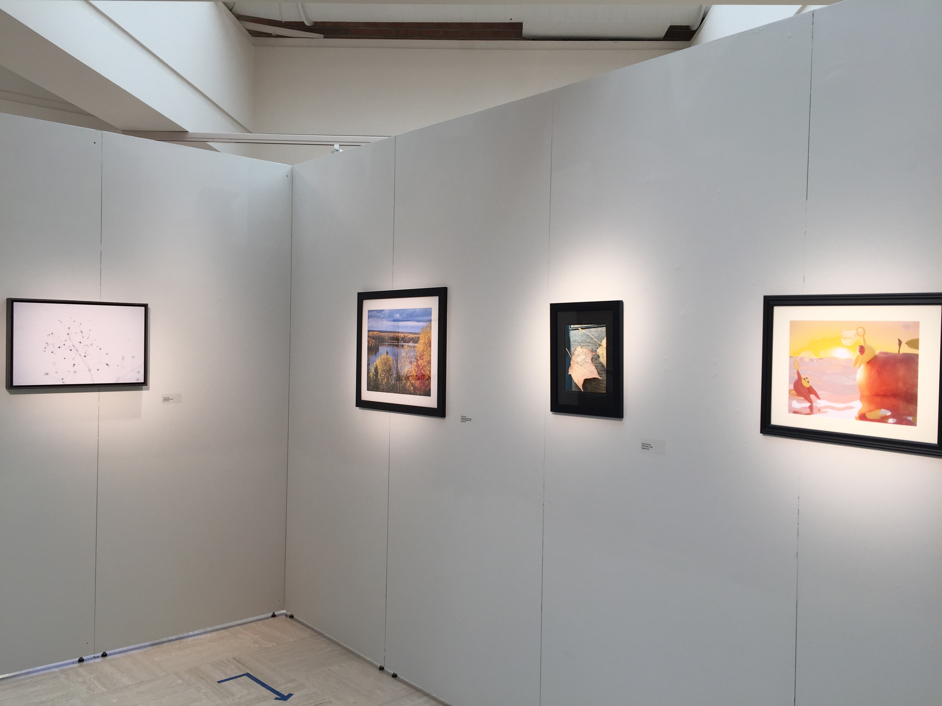 l-r images by Nijs, Brown, Proctor, LaBrake